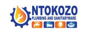 ntokozo logo